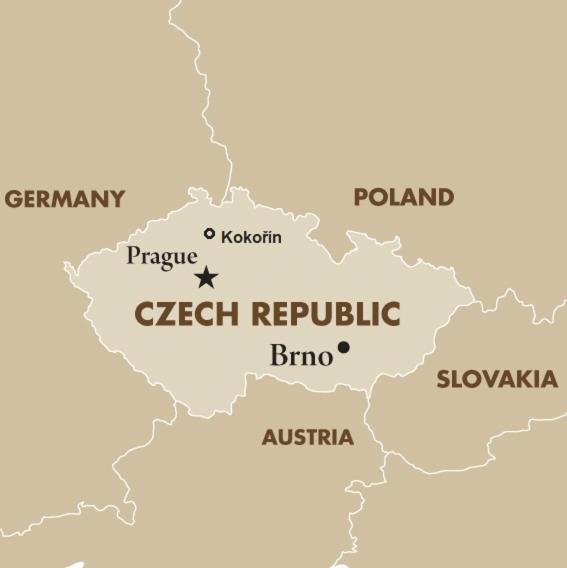 Leśni Chalupa Hlucov Kokorin Zewnętrze zdjęcie